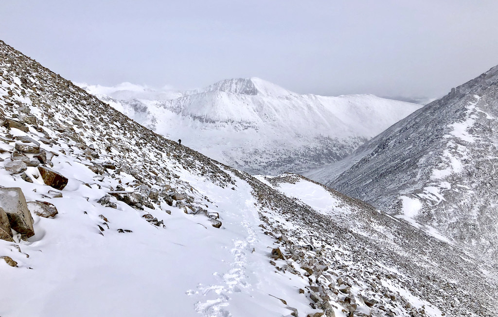 A photo from my snowflake ascent of Mount Democrat, January 2021. {768x490}